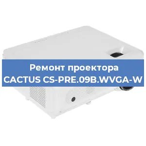 Ремонт проектора CACTUS CS-PRE.09B.WVGA-W в Новосибирске